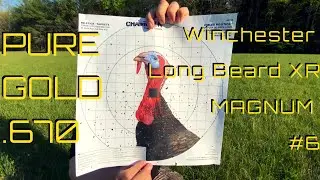 Pure Gold Turkey .670 choke | Winchester Long Beard XR MAGNUM #6 | Devastating LEAD pattern!