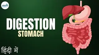 Life Processes - Lesson 06 | Digestion - Role of Stomach - in Hindi (हिंदी में ) | Don't Memorise