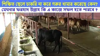 মেঘনার সবচেয়ে বড় গরু মোটাতাজাকরন খামার | Farm House Agro | Meghna