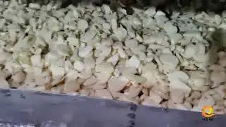 Double blade Garlic slicer machine