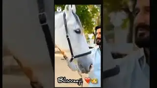 Gaman Santhal New Status Video Super #status #share #shorts #short #s