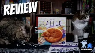 Calico Review