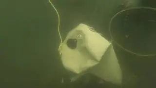 Divers Institute of Technology Supplying Air to Lift Bags