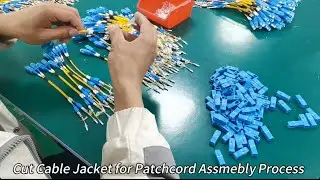 Cut Cable Jacket for Patchcord Assmebly Process