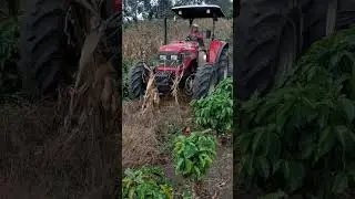 Preparar a terra para o plantio #cria&ccedil;&atilde;o #rocaafazenda #agro #ro&ccedil;a#trator#shorts