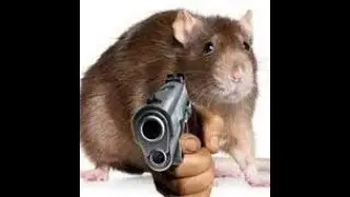 valve cant stop the rat