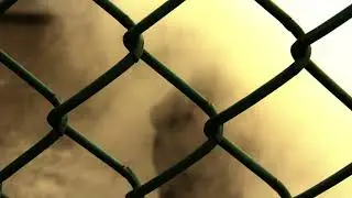VA Abstract Video Jason Lim