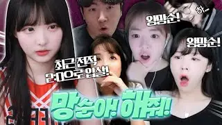 봉음기 확성기로 돌리겠습니다!!