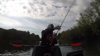 Swimming a Freedom Tackle Stealth Swim Jig thru Hydrilla