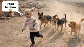 Erica Ke Picha 🐕 Dog's 🐕 Paad Gye😱#vlog