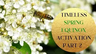 Spring Equinox🌱 Light Language Activation🌟Part 2🦋