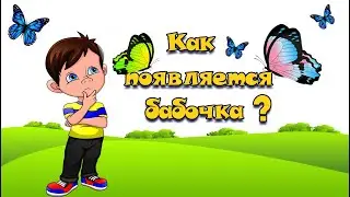 Гусеница это будущая бабочка? Не может быть. Как появляется бабочка?