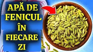 11 Beneficii PUTERNICE ale Consumului de Apă de Fenicul &icirc;n fiecare Zi!