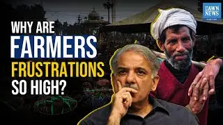 Why Are Farmers So Frustrated In Pakistan? | Wheat Crisis | Dawn News English