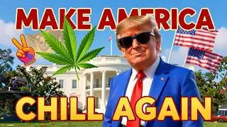 Make America Chill Again | Trump Legalizes Marijuana (Funny Song)