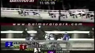 American National Open Trot 2005 -Peaceful Way
