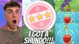 ✨У МЕНЯ ЕСТЬ ШУНДО В POKEMON GO!!!✨