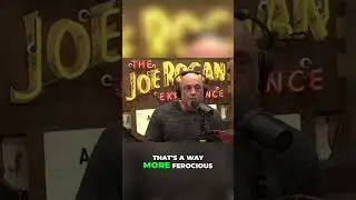 Joe Rogan - Unlocking the True Nature of Monkeys: Strength and Power