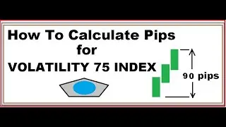 How To Calculate Pips for Volatility 75 Index
