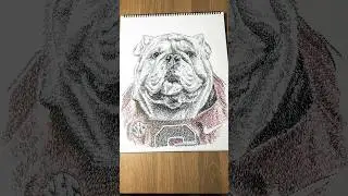 Go Dawgs #uga #georgia #mascot #micrography #WordArt #xyz