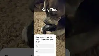 Kong tires durable dog chew toy for aggressive chewers review #puppy #kongdog #durabledogtoys