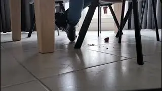 black boots trample some cake