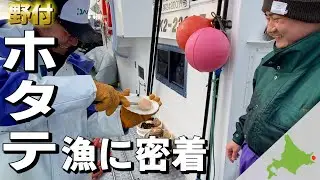 【北海道・別海町・尾岱沼】野付のホタテ漁に密着したら、漁師はカッコいいしホタテは最高だしの、至極の一日だった！