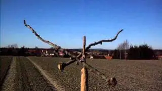 VAWT Obstbautechnik mit Windenergie Ah - Ah - Ah - April  .AVI