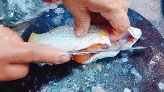 Redlip Croaker Fish Cutting Skills | Addictive Fish Cutting