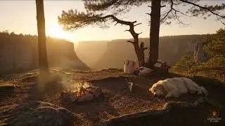 2 Hours of Calm 🔥 Cliffside Campfire at Golden Hour | Sleeping Dog Ambience
