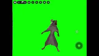 Rat dance🐀