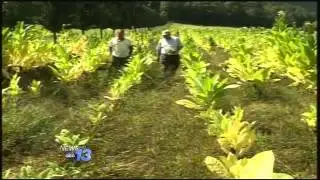 Federal Disaster Declaration Request