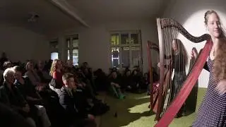 Experimental acoustic Harp Rock - Zirla