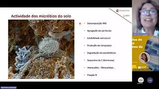 Webinar 