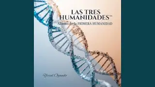 Humanidad Rota