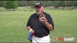 Introducing Your Dog to the BigLeash Remote Training Collar