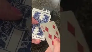 Bicycle Prestige Plastic Playing Cards
