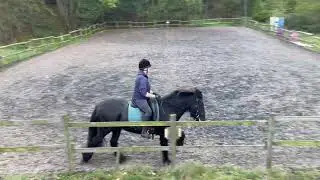 Julie Calvert and Lownthwaite Heresay Eriders prelim 2b BRC league Gipping riding society October