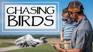 You Ask We Answer - Whoa Training and Chasing Birds Episode 34: Part 1