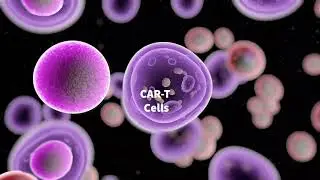 Living Medicine for Cancer and Multiple Sclerosis with CAR-T Therapy - How does the treatment work?