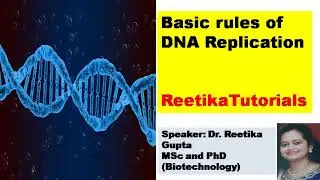 Basic rules of DNA replication