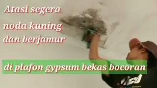 Atasi noda kuning dan berjamur di plafon gypsum