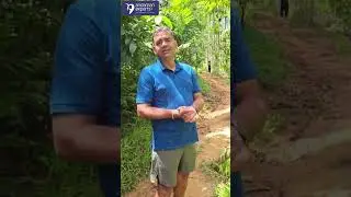 Explore Elephant Beach Trekking with Andaman Experts