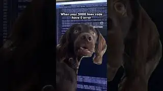 #coder #devlife #cutewebsite #softwaredevloveper #programming #coding #programmer