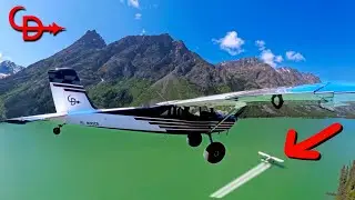 Cub Rescue in the Yukon