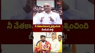 Harish Rao Key Comments on CM Revanth Reddy | #shorts #tsnews #revanthreddy #chandrababu #harishrao