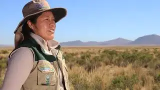 Especies nativas Altiplano Pacajes