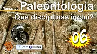 Temas de Paleontologia: 6. Quais as suas subdivisões conceptuais?