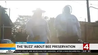 The buzz about bee preservation