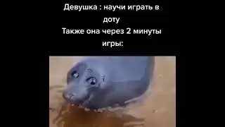 #dota2 #dota #mama #momchef Типичная дота на высоких уровнях: